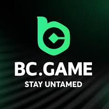 The Ultimate Guide to the BC.Game Login Process